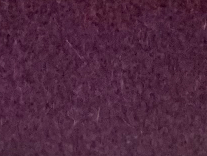 zoom colori IGLOO prune