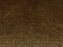 zoom colori VELOURS JOYCE antilope