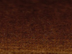 zoom colori VELOURS JOYCE écureuil