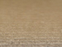 zoom colori VELOURS JOYCE crème