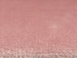 zoom colori VELOURS JOYCE pink