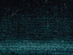 zoom colori VELOURS JOYCE caraïbes