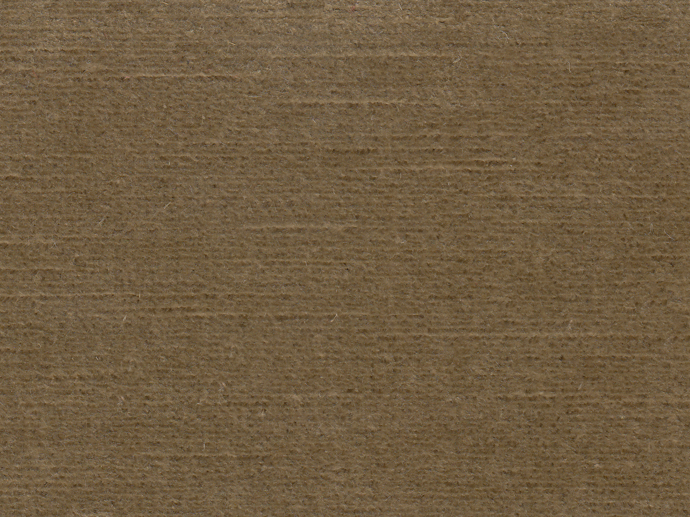 zoom colori BRAGANCE chanterelle