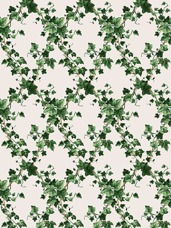 zoom colori GRAND LIERRE pp vert