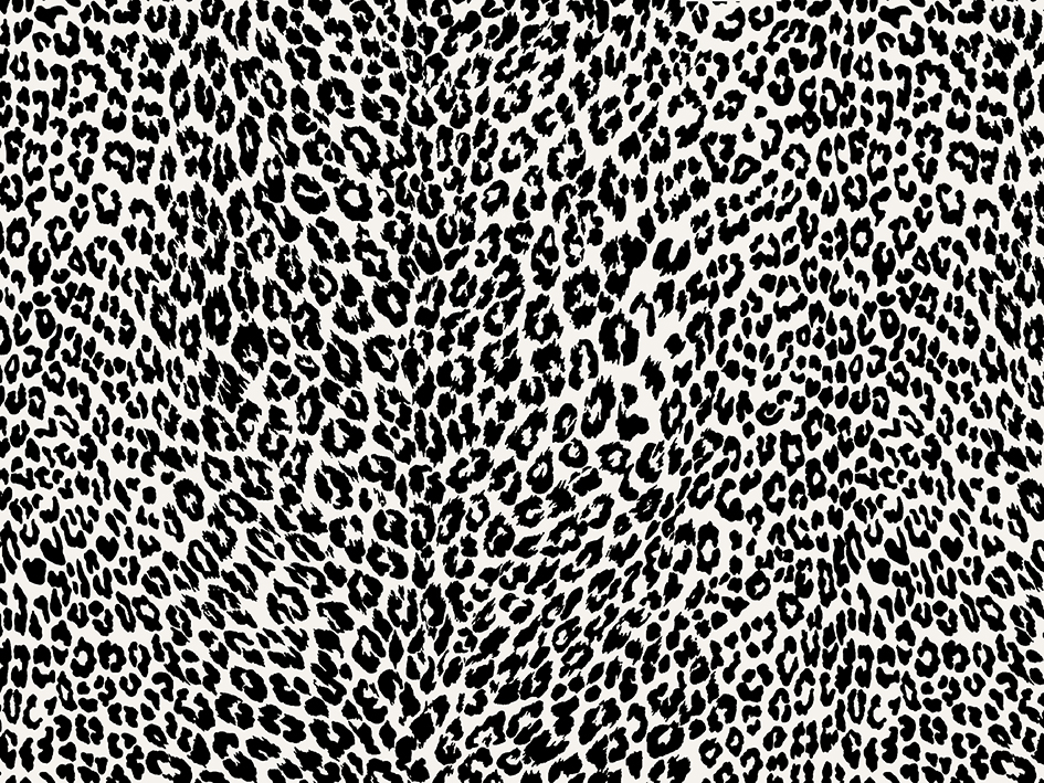 zoom colori PETIT LEOPARD noir