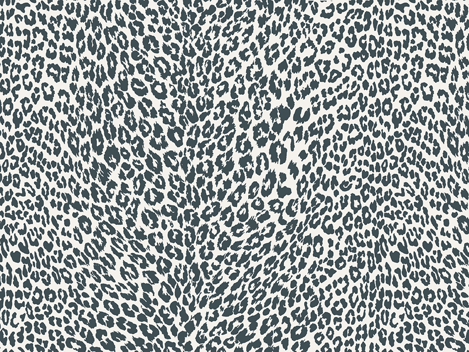 zoom colori PETIT LEOPARD gris foncé