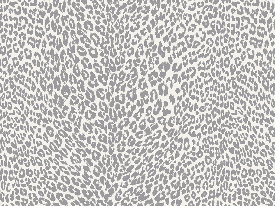 zoom colori PETIT LEOPARD gris clair