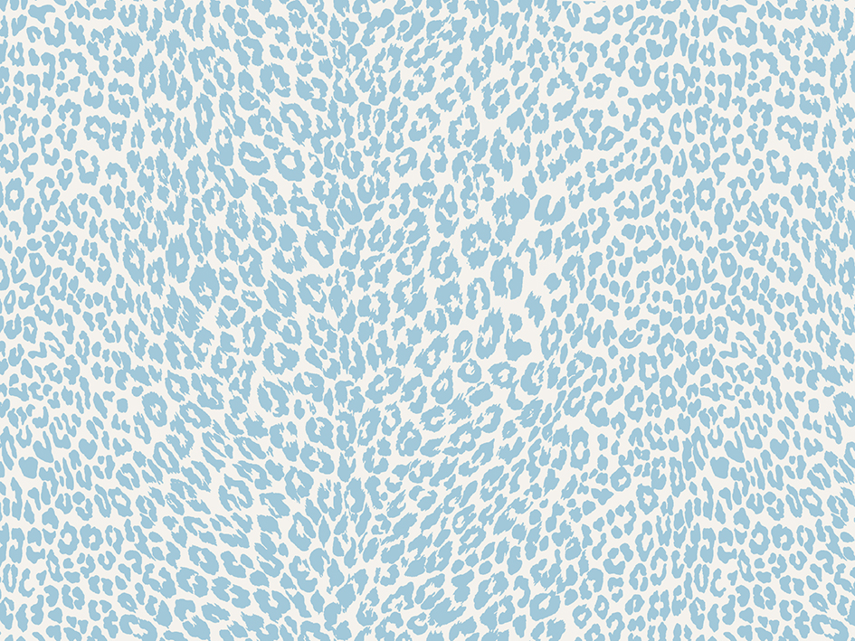 zoom colori PETIT LEOPARD bleu ciel