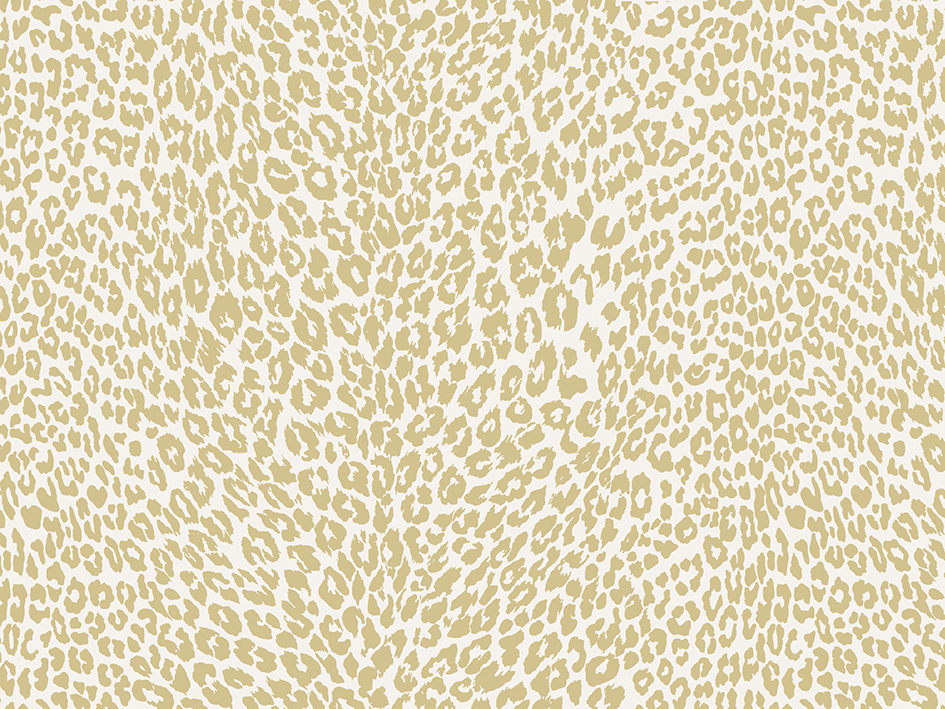 zoom colori PETIT LEOPARD beige