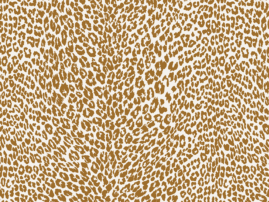 zoom colori PETIT LEOPARD tabac