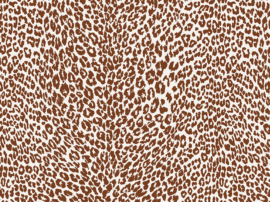 zoom colori PETIT LEOPARD chocolat