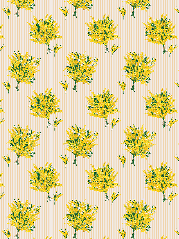 zoom colori MIMOSAS FINE RAYURE pp rosée