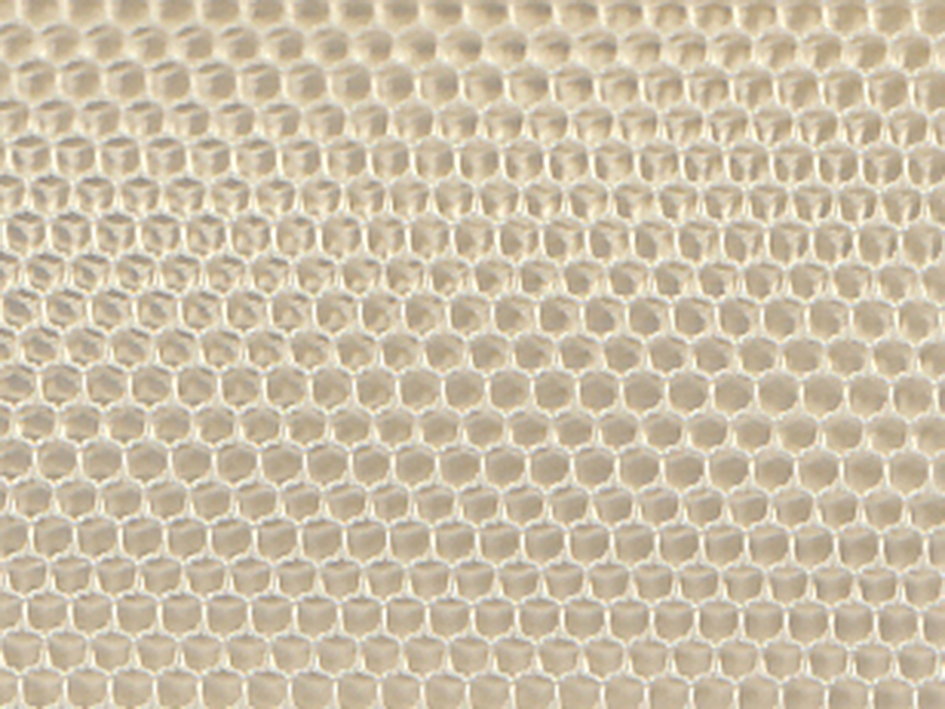 zoom colori TULLE ABEILLE M1 beige