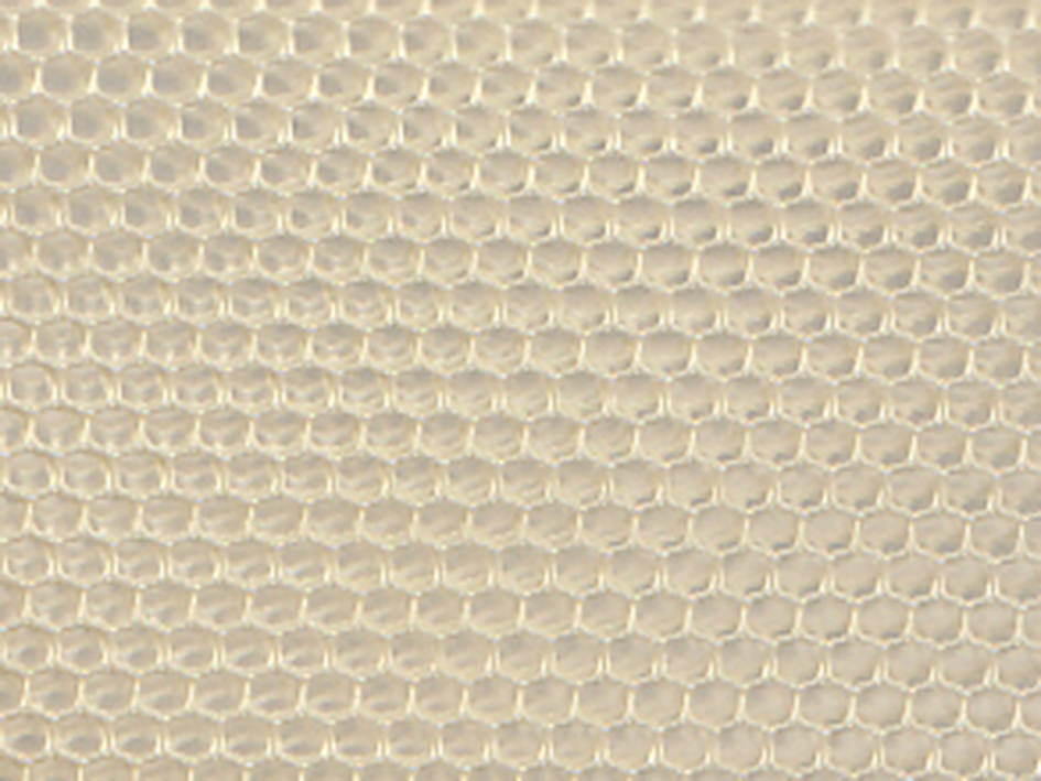 zoom colori TULLE ABEILLE M1 crème
