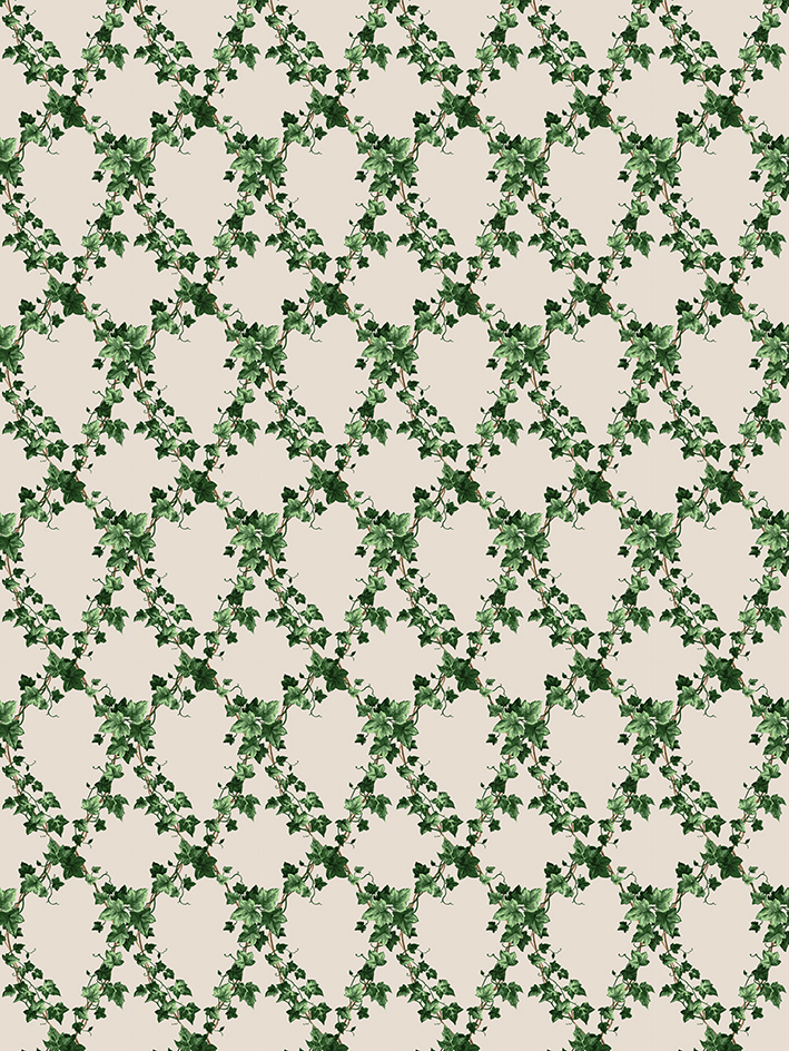 colori PETIT LIERRE pp vert